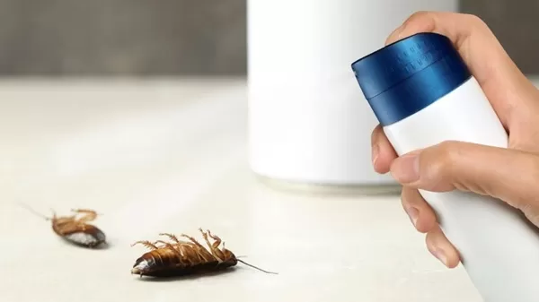 16+ Cách làm thuốc diệt côn trùng hiệu quả tại nhà